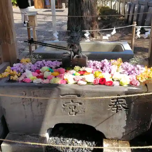 玉前神社の{uncategorized: "未分類", other: "その他", undefined: "問題あり", building: "その他建物", grave: "お墓", sacred_gate: "鳥居", guardian: "狛犬", statue: "像", buddha: "仏像", history: "歴史", nature: "自然", garden: "庭園", animal: "動物", pagoda: "塔", temizu: "手水舎", mountain_gate: "山門・神門", sanctuary: "本殿・本堂", subordinate: "末社・摂社", art: "芸術", scenery: "景色", jizo: "地蔵", ema: "絵馬", goshuin: "御朱印", omikuji: "おみくじ", items: "授与品その他", amulet: "お守り", goshuincho: "御朱印帳", eats: "食事", festival: "お祭り", votive_dance: "神楽", shichigosan: "七五三参", wedding: "結婚式", experience: "体験その他", initially: "初詣", around: "周辺", anti_infection: "感染症対策"}