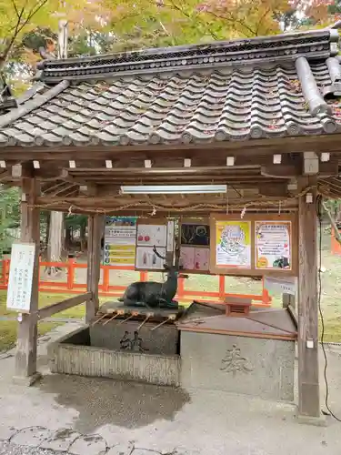 大原野神社の手水舎