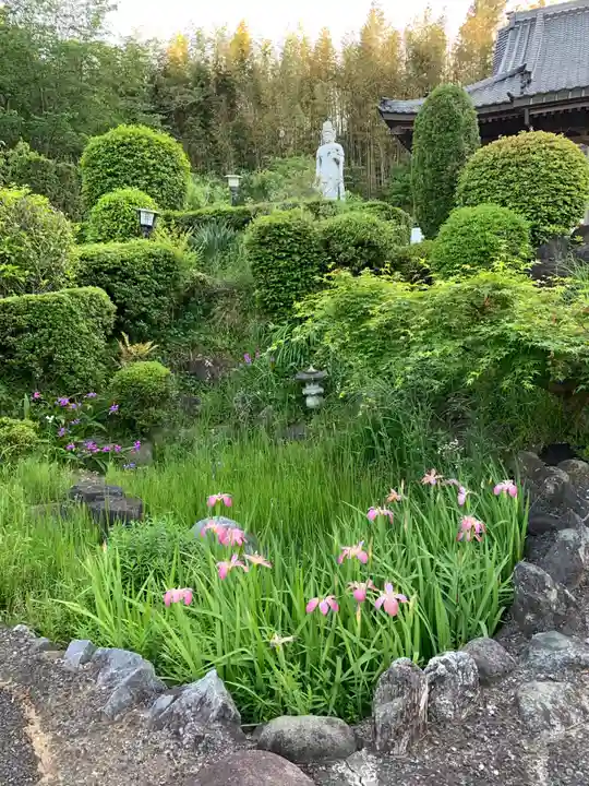 竜湖寺(千葉県)
