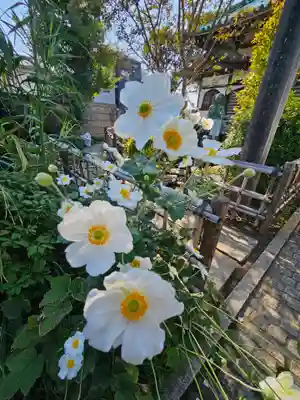 長喜院(埼玉県)