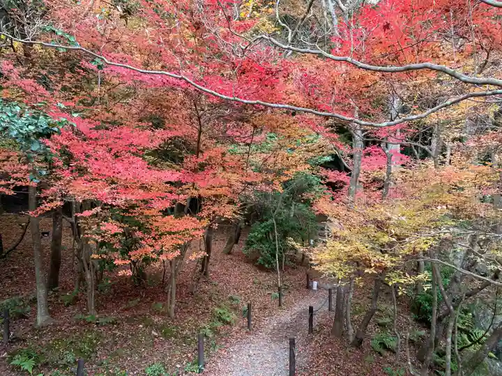 醍醐寺(京都府)