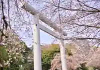 櫻木神社の鳥居