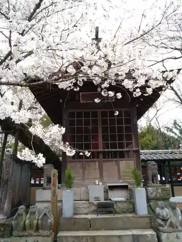 本妙寺(熊本県)
