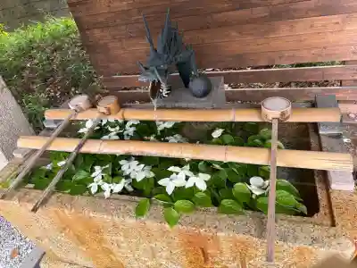 星宮神社の{uncategorized: "未分類", other: "その他", undefined: "問題あり", building: "その他建物", grave: "お墓", sacred_gate: "鳥居", guardian: "狛犬", statue: "像", buddha: "仏像", history: "歴史", nature: "自然", garden: "庭園", animal: "動物", pagoda: "塔", temizu: "手水舎", mountain_gate: "山門・神門", sanctuary: "本殿・本堂", subordinate: "末社・摂社", art: "芸術", scenery: "景色", jizo: "地蔵", ema: "絵馬", goshuin: "御朱印", omikuji: "おみくじ", items: "授与品その他", amulet: "お守り", goshuincho: "御朱印帳", eats: "食事", festival: "お祭り", votive_dance: "神楽", shichigosan: "七五三参", wedding: "結婚式", experience: "体験その他", initially: "初詣", around: "周辺", anti_infection: "感染症対策"}