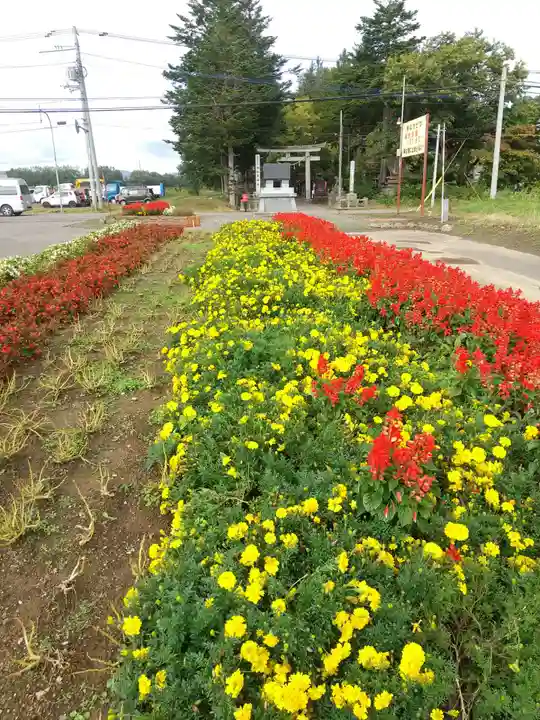 倶知安神社(北海道)