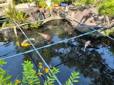 興徳寺(大阪府)