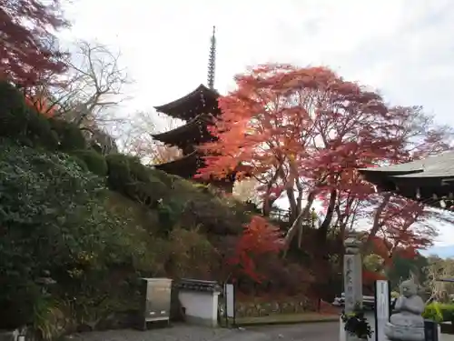 岡寺（龍蓋寺）(奈良県)