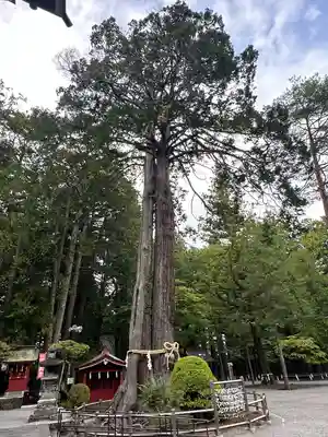 北口本宮冨士浅間神社(山梨県)
