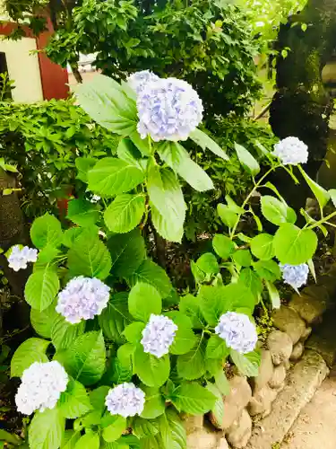 摂津之国 國分寺（金光明四天王護国之寺）の自然