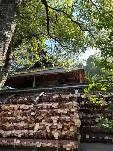 川越氷川神社(埼玉県)