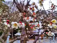 立志神社の自然