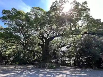 高良大社(福岡県)
