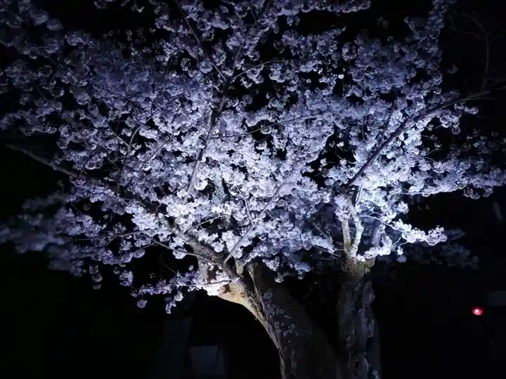 知恩院(京都府)