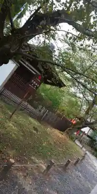 平野神社のその他建物
