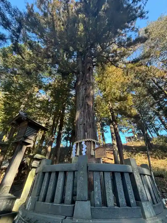 諏訪大社下社春宮(長野県)