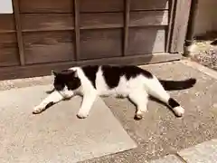 荒木神社の動物