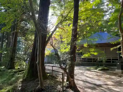 中尊寺(岩手県)