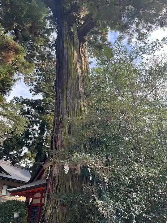 香取神宮(千葉県)