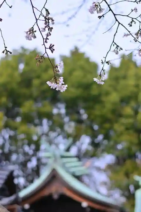 杉山社(神奈川県)
