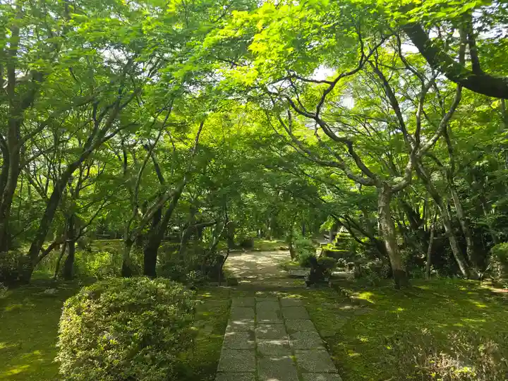 勝持寺(花の寺)(京都府)