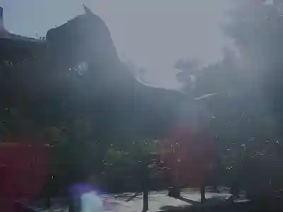 京都乃木神社の狛犬