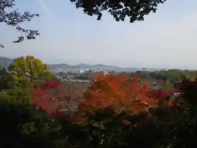 常寂光寺(京都府)