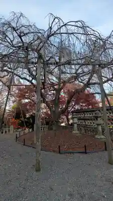 大石神社(京都府)
