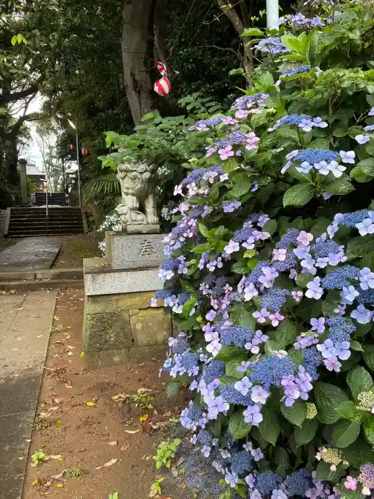 堀出神社(茨城県)