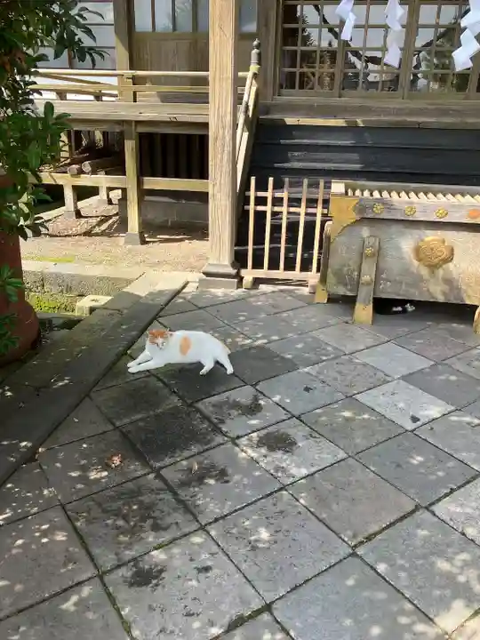 今市報徳二宮神社(栃木県)