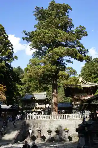 日光東照宮(栃木県)