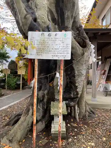 三皇熊野神社本宮(秋田県)