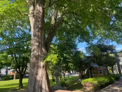 当別神社(北海道)