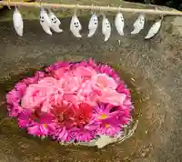 真言宗 善通寺派 薬王寺(香川県)