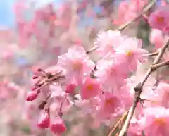 今市報徳二宮神社(栃木県)