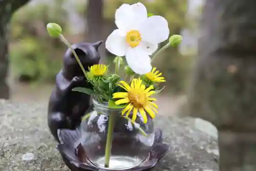 開成山大神宮の手水