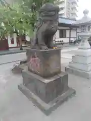 胡録神社の狛犬