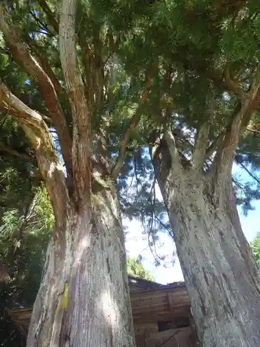 八幡神社(愛知県)