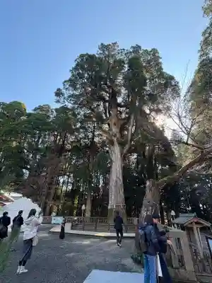 霧島神宮(鹿児島県)