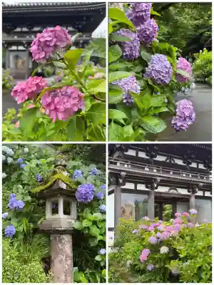 観音寺(京都府)