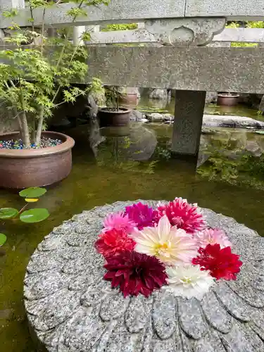 岡寺（龍蓋寺）の庭園