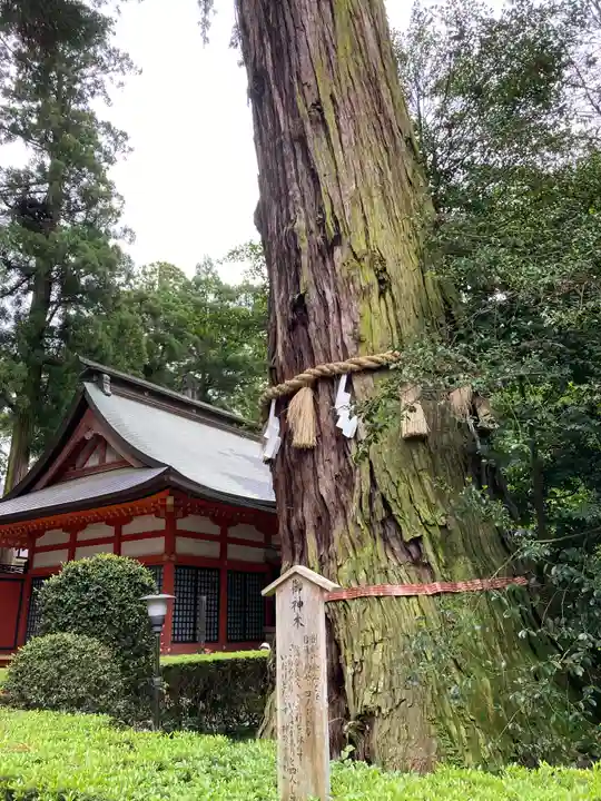 香取神宮の自然