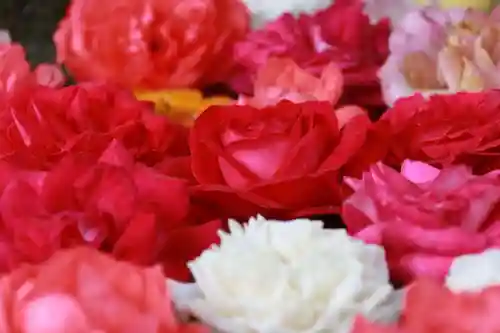 田村神社の手水舎