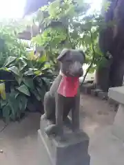 千住神社の狛犬