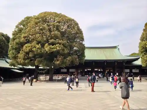 明治神宮(東京都)