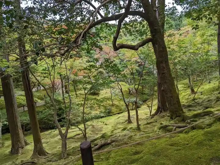 慈照寺(慈照禅寺・銀閣寺)(京都府)