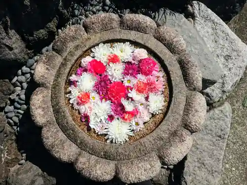 埼玉厄除け開運大師・龍泉寺（切り絵御朱印発祥の寺）の手水舎