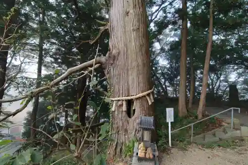 阿久津「田村神社」（郡山市阿久津町）旧社名：伊豆箱根三嶋三社の自然