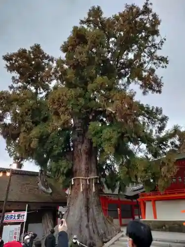 春日大社の自然