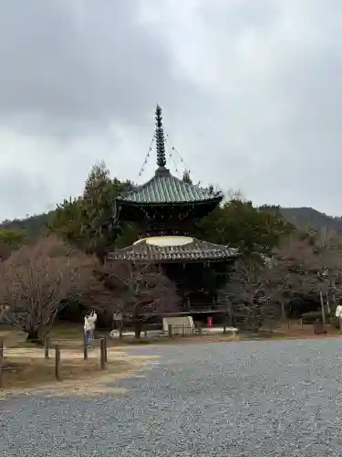 清凉寺の{uncategorized: "未分類", other: "その他", undefined: "問題あり", building: "その他建物", grave: "お墓", sacred_gate: "鳥居", guardian: "狛犬", statue: "像", buddha: "仏像", history: "歴史", nature: "自然", garden: "庭園", animal: "動物", pagoda: "塔", temizu: "手水舎", mountain_gate: "山門・神門", sanctuary: "本殿・本堂", subordinate: "末社・摂社", art: "芸術", scenery: "景色", jizo: "地蔵", ema: "絵馬", goshuin: "御朱印", omikuji: "おみくじ", items: "授与品その他", amulet: "お守り", goshuincho: "御朱印帳", eats: "食事", festival: "お祭り", votive_dance: "神楽", shichigosan: "七五三参", wedding: "結婚式", experience: "体験その他", initially: "初詣", around: "周辺", anti_infection: "感染症対策"}