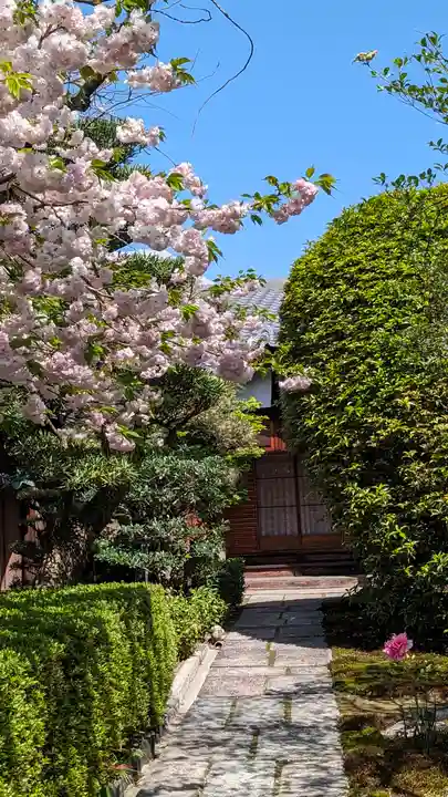 了蓮寺(京都府)